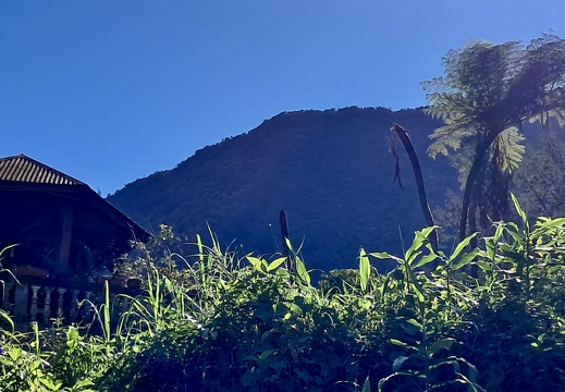 8E9C74F1-FD6C-474F-9D88-4BDAD732CDD6 1 201 a