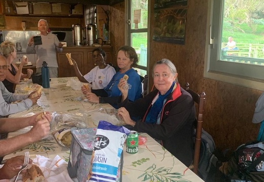 1E674F2E-E223-4485-BDB2-10E2AE309A84 1 105 c