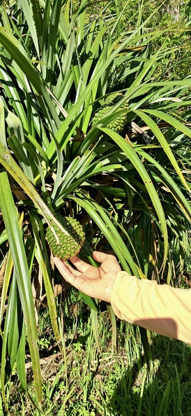 20250607_091924.jpg