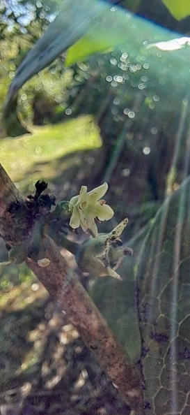 20250607_092816.jpg