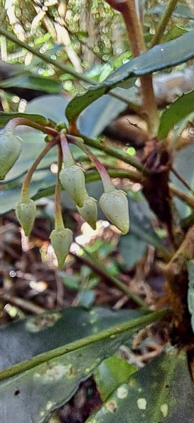 20250607_112338.jpg