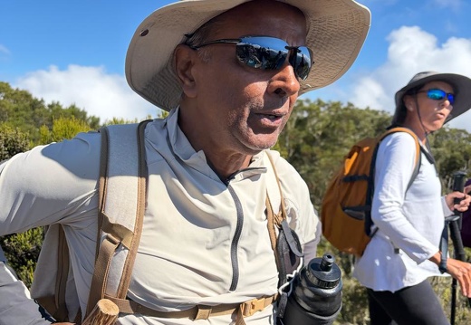 2026-0314 Du Maïdo à la route forestière des cryptomérias par le rempart