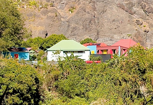 IMG 4849